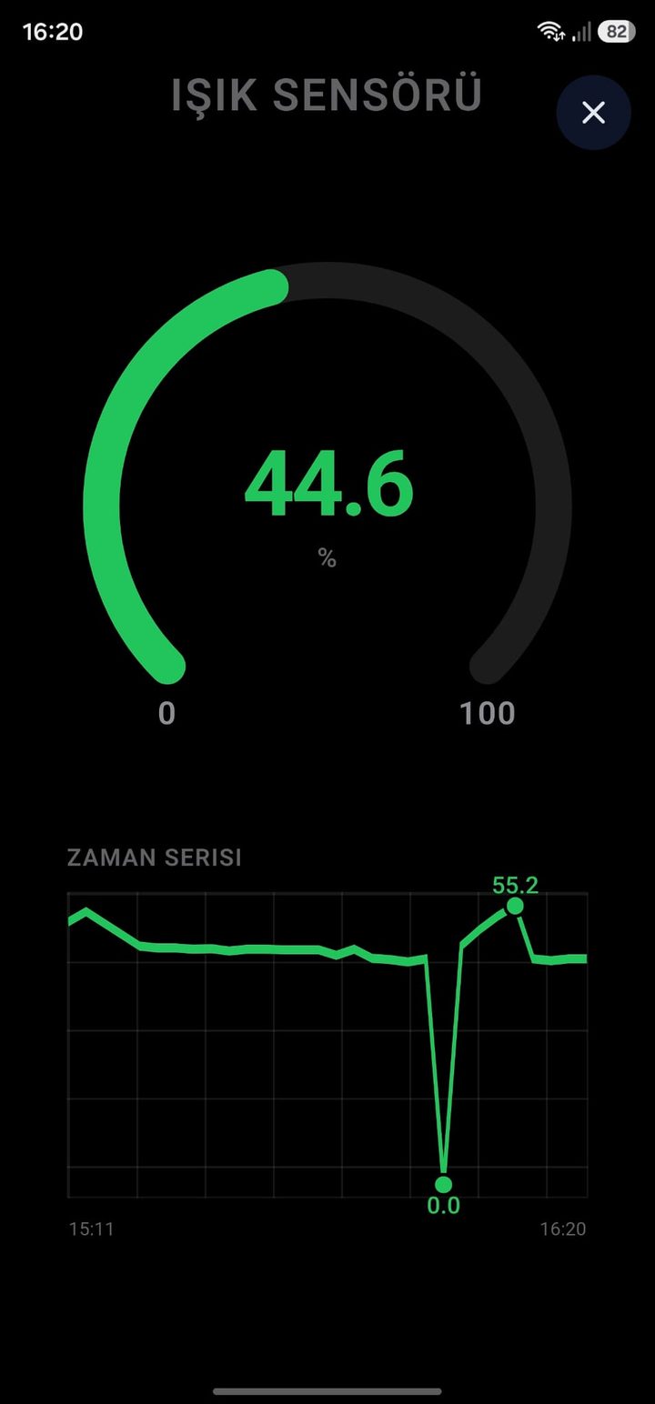 Sensör detay — gauge ve zaman serisi